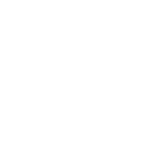 wrench icon